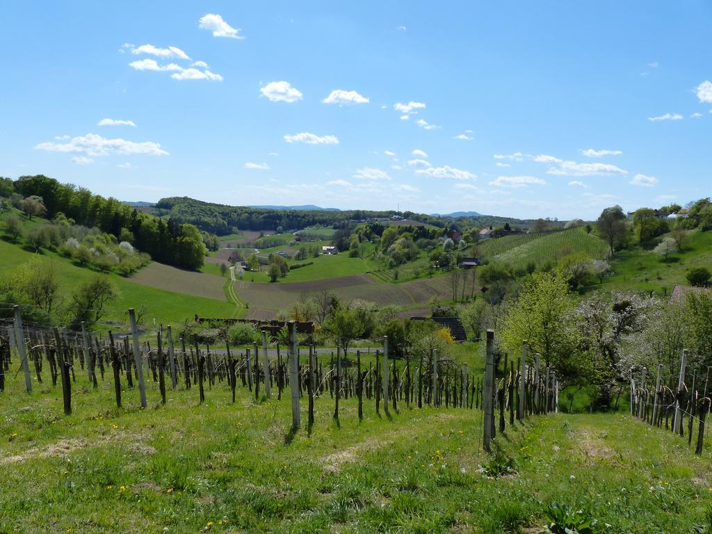 Weingarten-Resort Unterlamm Loipersdorf - Adults Only Zewnętrze zdjęcie