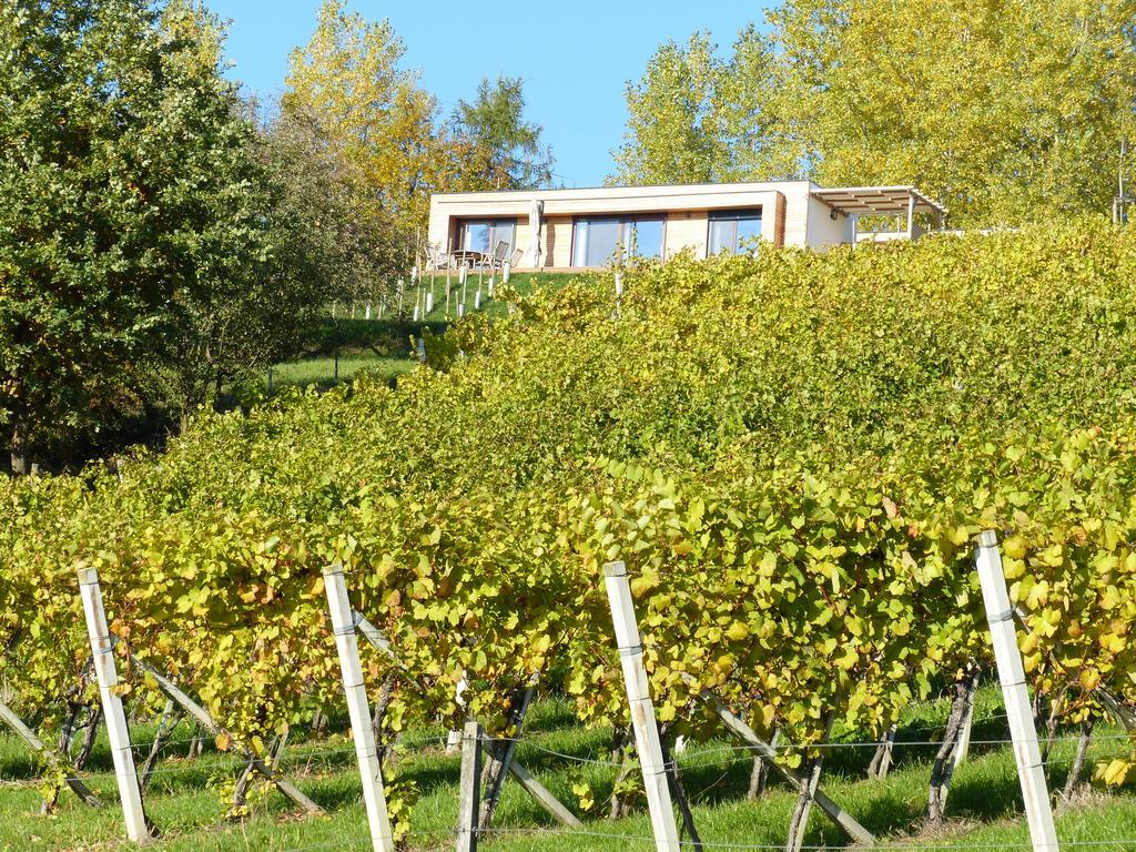 Weingarten-Resort Unterlamm Loipersdorf - Adults Only Zewnętrze zdjęcie