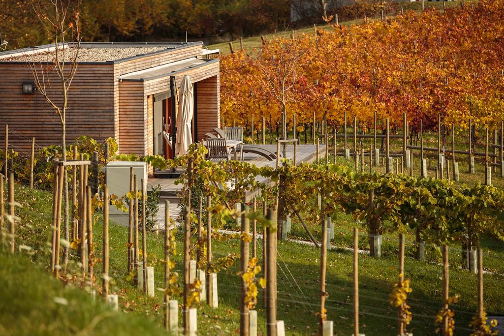 Weingarten-Resort Unterlamm Loipersdorf - Adults Only Zewnętrze zdjęcie