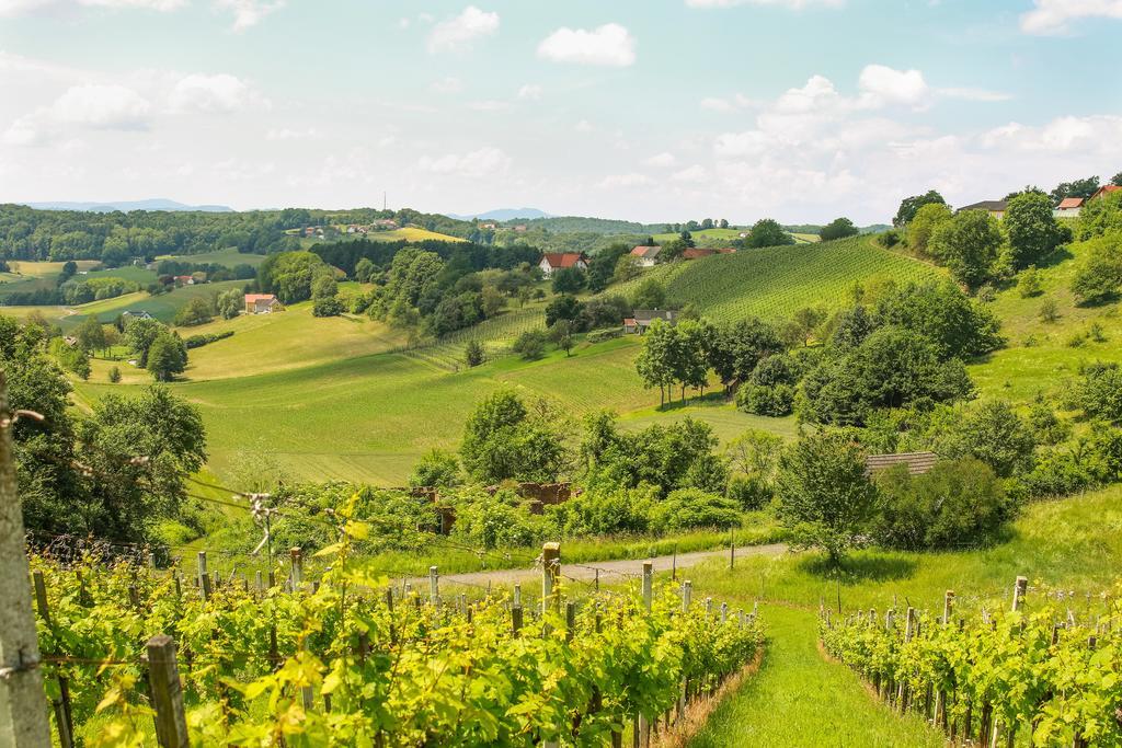 Weingarten-Resort Unterlamm Loipersdorf - Adults Only Zewnętrze zdjęcie