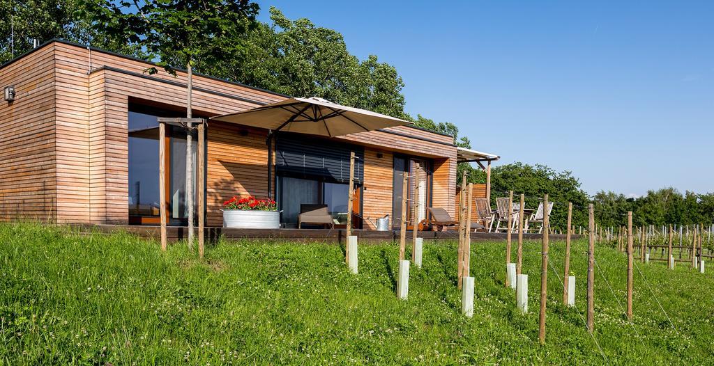 Weingarten-Resort Unterlamm Loipersdorf - Adults Only Zewnętrze zdjęcie